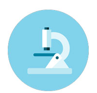 Scientific Approach 
